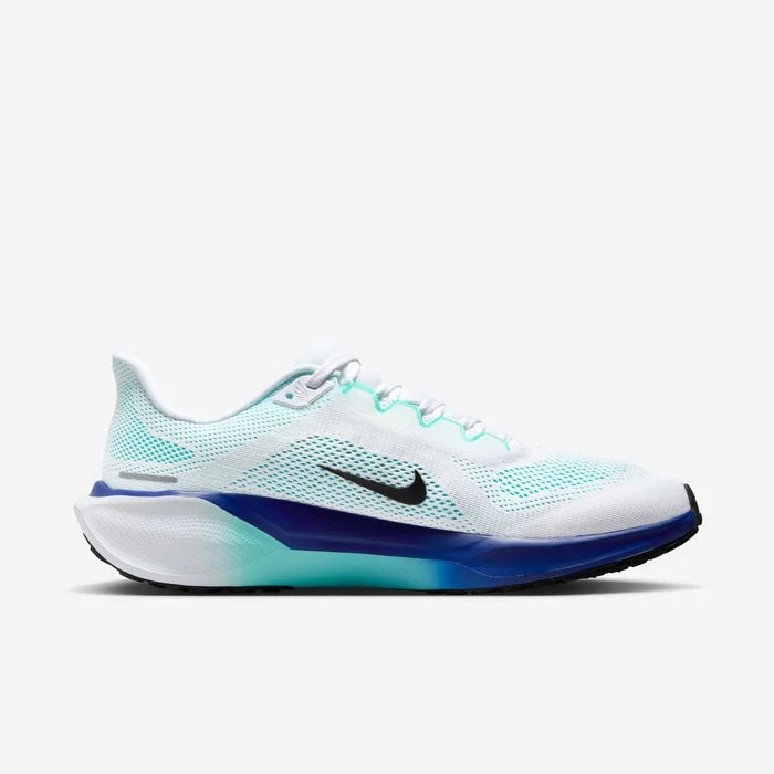Nike Pegasus 41 Men's Road Running Shoes FD2722-118