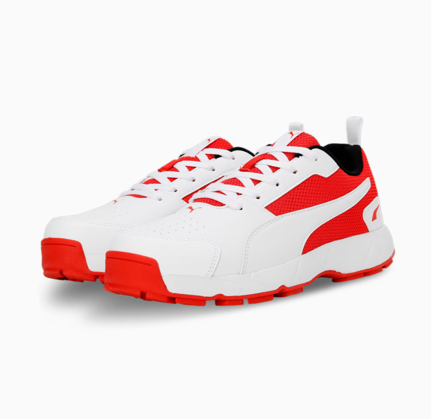 Puma Cricket High Run Men's Shoes