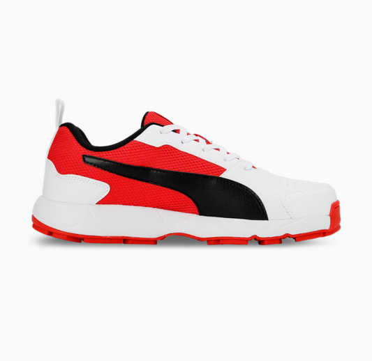 Puma Cricket High Run Men's Shoes