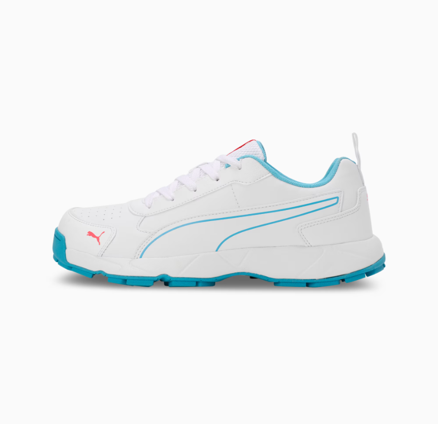 Puma Cricket Classic Cat Men's Shoes