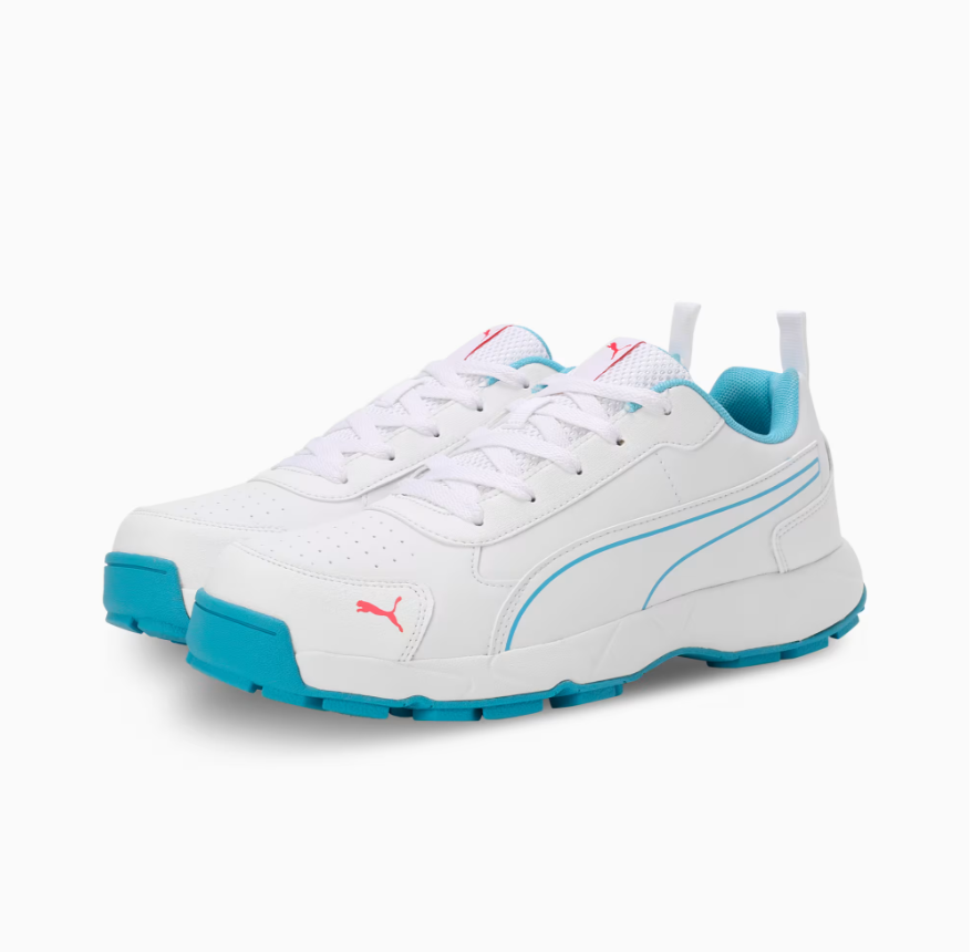 Puma Cricket Classic Cat Men's Shoes