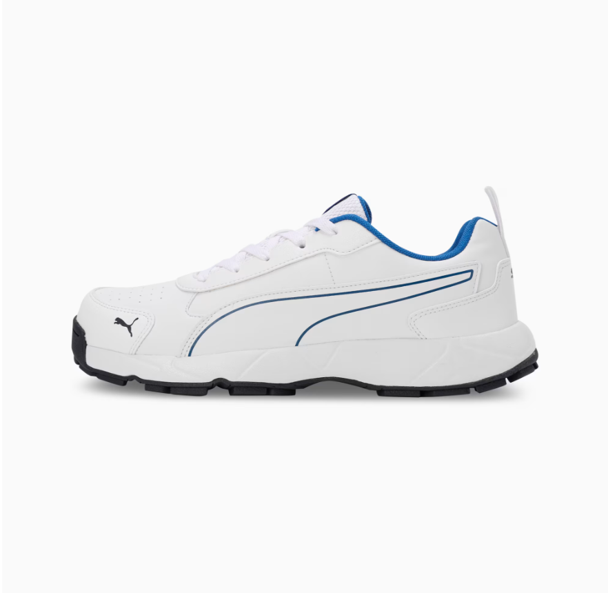 Puma Cricket Classic Cat Men's Shoes