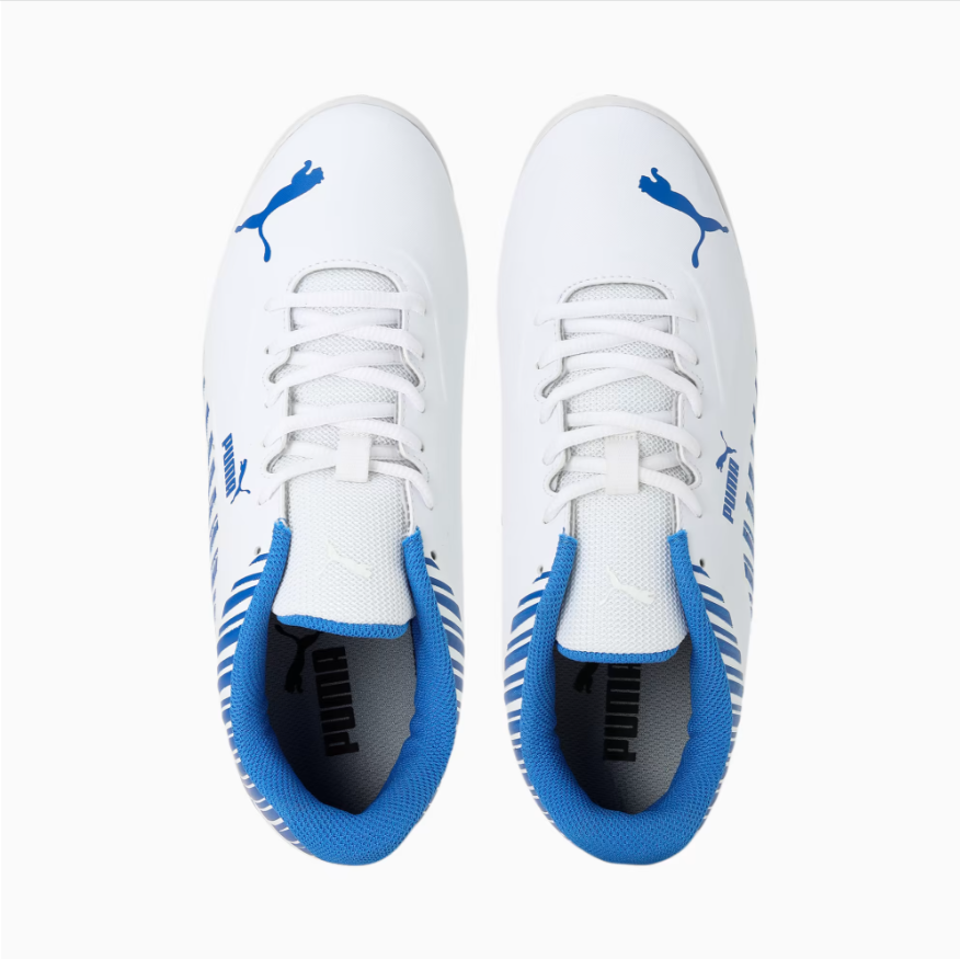 Puma EvoSpeed V2 Cricket Youth Shoes