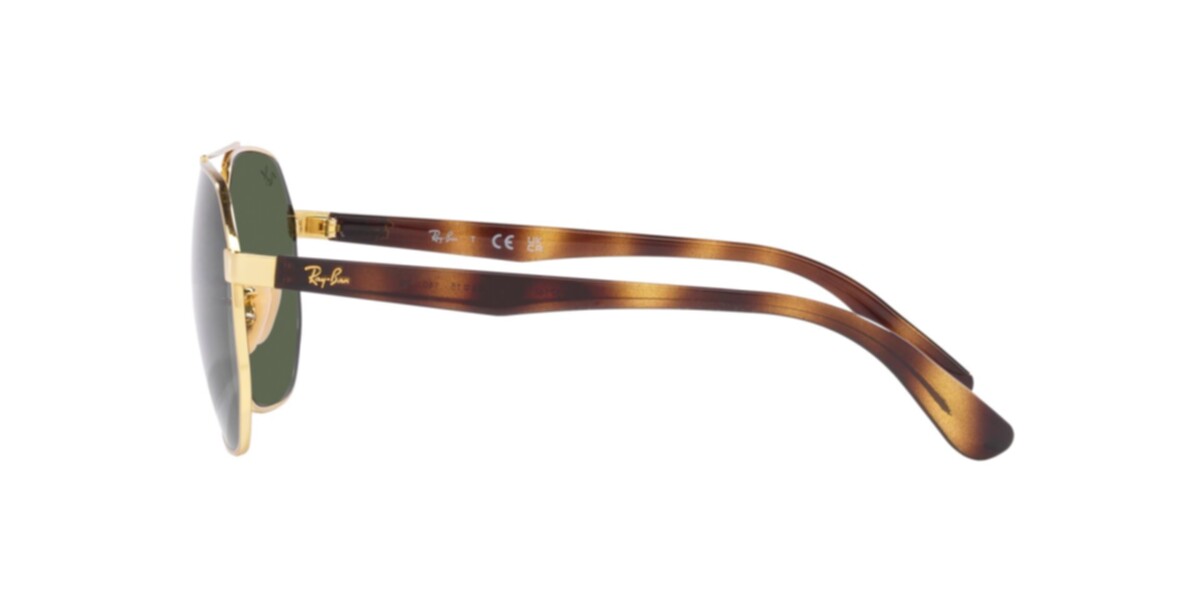 Ray-Ban Arista Sunglasses